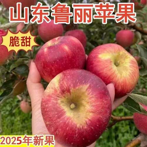 烟台鲁丽8号，非常好吃！