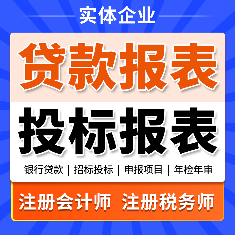 代做财务报表会计公司民非企业银行贷款招标投标工商年检制作修改图片