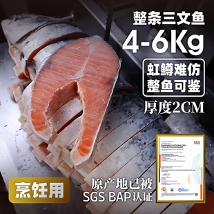 挪威进口整条冷冻三文鱼排中段鲑鱼智利辅食轮切三文鱼扒海鲜水产
