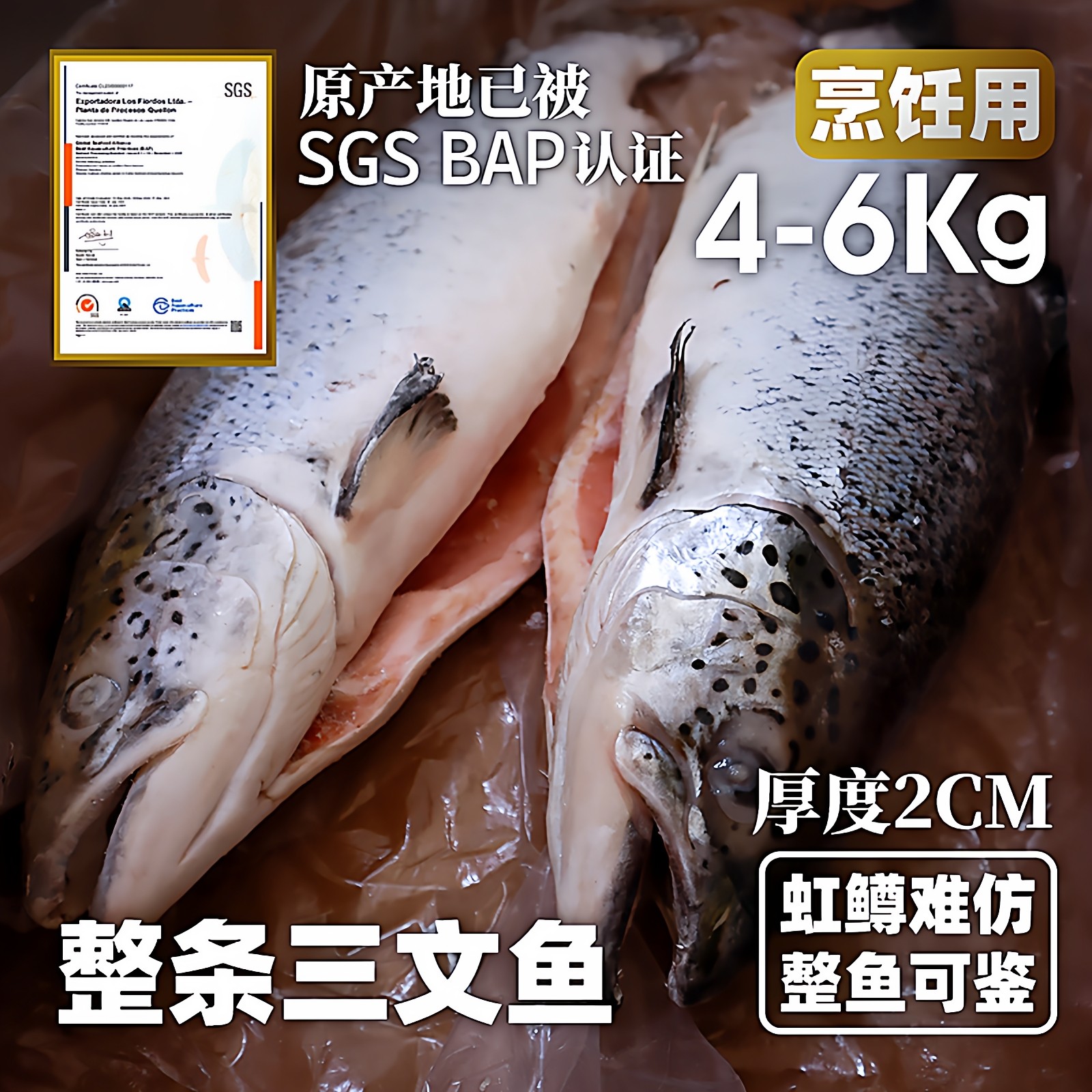 冷冻三文鱼整条智利进口轮切中段三文鱼排鱼扒挪威儿童辅食海鱼块