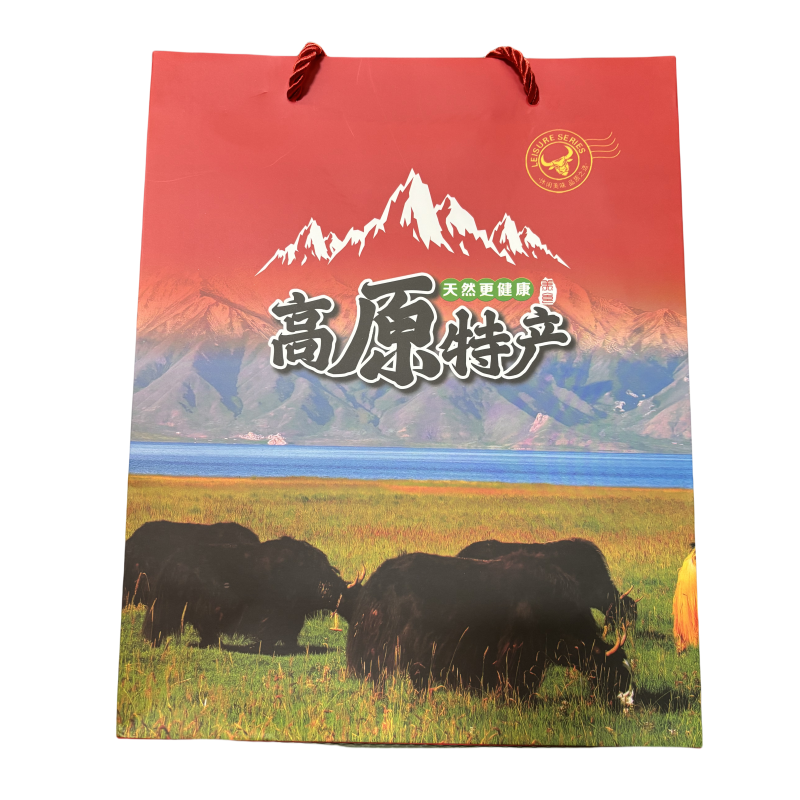 高原特产手撕牦牛肉包装手提袋特产袋内蒙古牛肉干礼品盒子定制