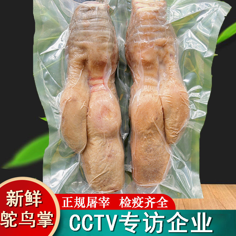 新鲜鸵鸟掌高原散养低脂高蛋白