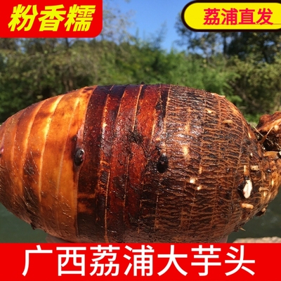 正宗广西荔浦市芋头新鲜现挖槟榔芋香芋紫藤芋商用荔浦直发包邮