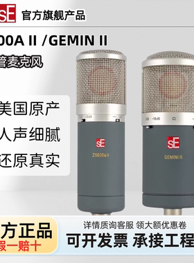 SESEZ5600AII双子座麦克风