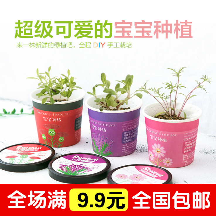 diy¶ùͯÖÖÖ²´´Òâ¿É°®ÃÔÄãÖ²Î↑ÐÄÅ©³¡×ÀÃæÐ¡ÅèÔÔ΢¾°¹ÛÖ²ÎïÖÖ×Ó