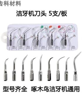 牙科材料啄木鸟洁牙机超声波刀头系列原装正品工作尖机头可高温