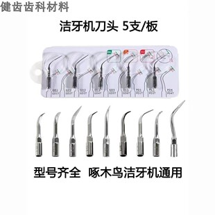 牙科材料啄木鸟洁牙机超声波刀头系列原装正品工作尖机头可高温