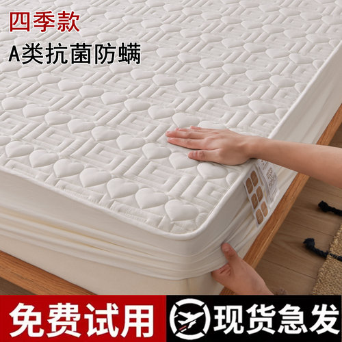 A类水洗棉床笠罩大豆加厚床罩