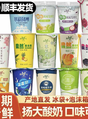 顺丰速运冷藏发货扬大酸奶茉莉花酸奶9种口味樱花味扬州大学风味