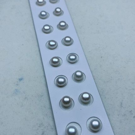 7-8白亮馒头 12对