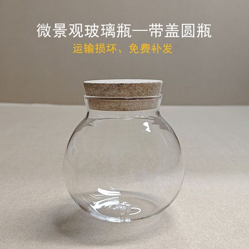 苔藓多肉微景观玻璃瓶圆瓶