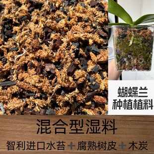 智力毛毛虫水苔加腐熟松树皮木炭蝴蝶兰花科专用混合湿料开袋即用