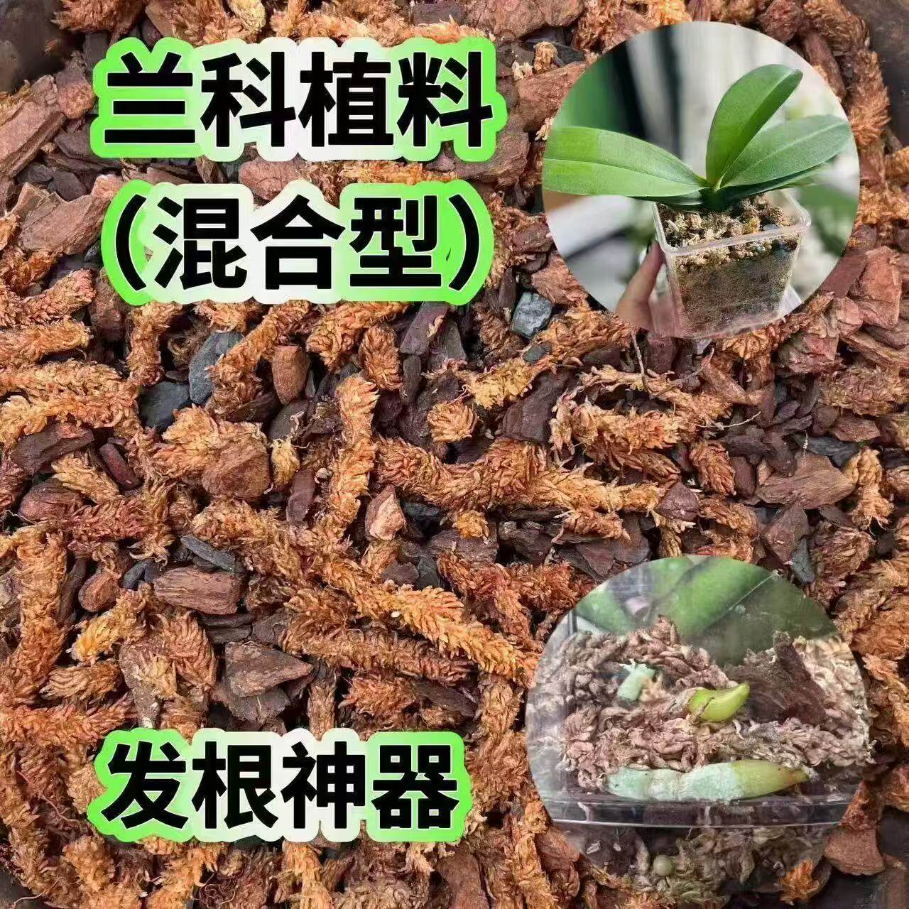 智利毛毛虫水苔加腐熟松树皮木炭蝴蝶兰花科专用混合发酵湿料即用
