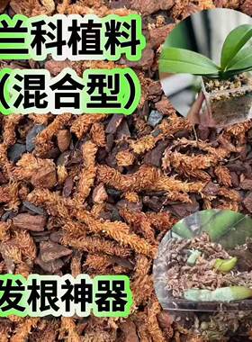 智利毛毛虫水苔加腐熟松树皮木炭