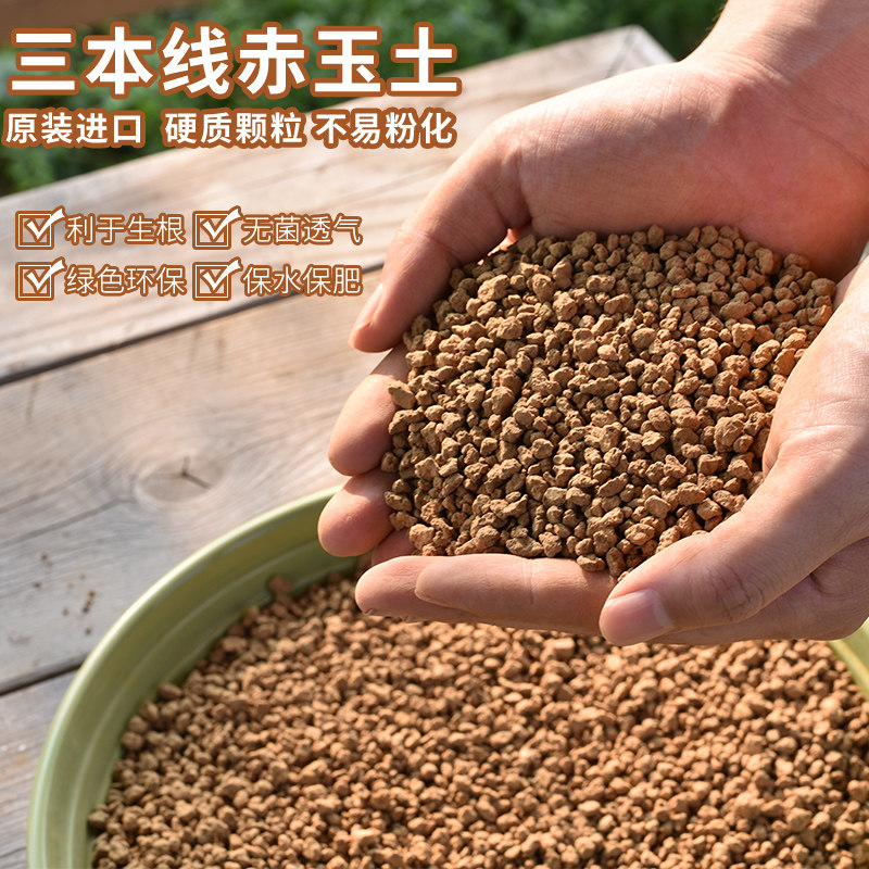 三本线赤玉土日本原装进口正品盆景专用多肉植物栽培兰花颗粒通用