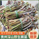 春季 贵州野生蕨菜 蔬菜蕨菜 甜蕨菜应季 野菜蕨菜 新鲜现摘山蕨菜