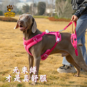 新款 宠物背带防挣脱防爆冲遛狗绳 狗狗胸背牵引绳可调节背心式