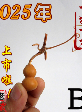 小店手捻精美一物一拍特价铁包金