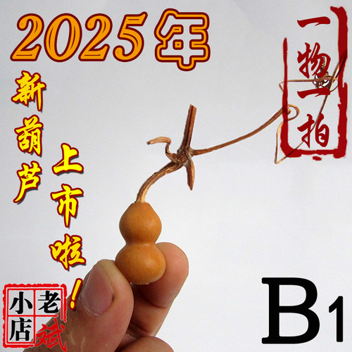 老斌小店铁包金手捻小葫芦精美龙头一物一拍特价包邮 - 封面