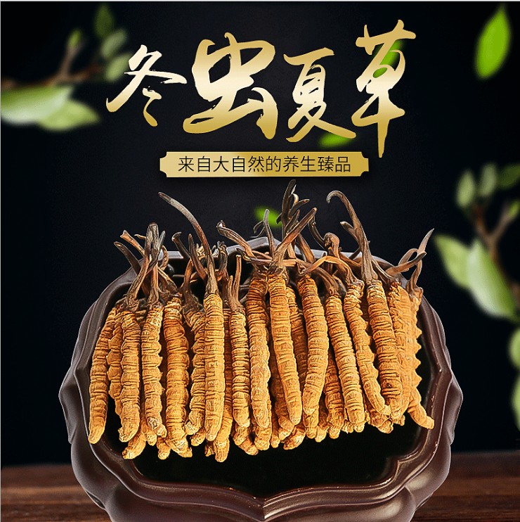 西藏那曲冬虫夏草正品虫草干货整根无断草1克4根3根2根黄虫草西藏