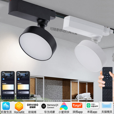 智能调光调色温轨道灯led筒灯homekit已接入米家涂鸦zigbee泛光灯