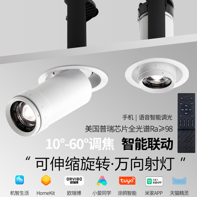 智能伸缩led射灯可拉伸调光调色调焦homekit已接入米家涂鸦嵌入式