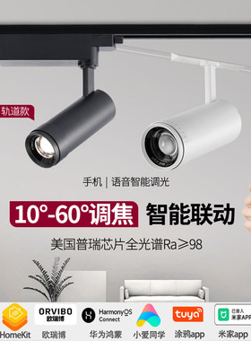 智能led轨道灯射灯homekit已接入米家涂鸦调光调色调焦美术馆照画
