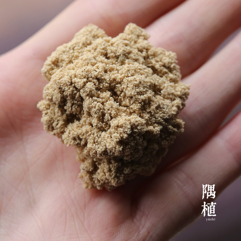 隅植/石磨制金艾绒“日之华”/精制艾绒/点灸直接灸用/50克装