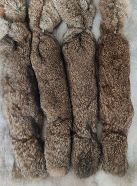 真兔皮毛一体猎狗猎兔犬开口神器细狗灵缇格力惠比特幼犬追逐训练