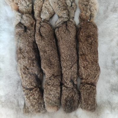 真兔皮毛一体猎狗猎兔犬开口神器细狗灵缇格力惠比特幼犬追逐训练