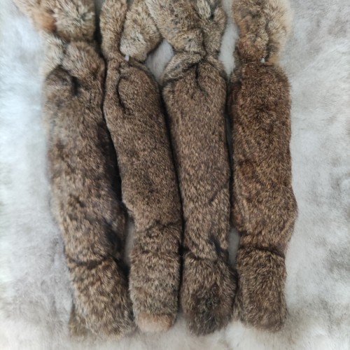 真兔皮毛一体猎狗猎兔犬开口神器细狗灵缇格力惠比特幼犬追逐训练