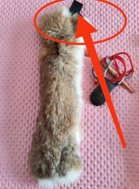 猎兔狗幼犬开口神器细狗灵缇惠比特捕咬布马犬东德真兔皮仿真兔子
