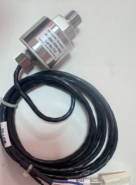PA850102RNG2COPAL传感器实物拍摄议价