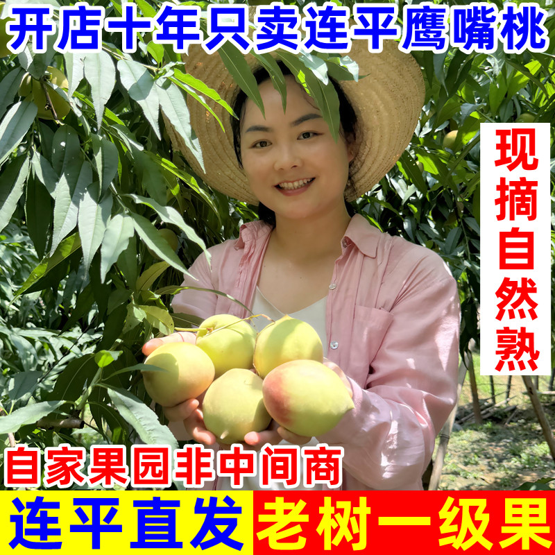 一家只卖连平鹰嘴蜜桃的十年老店