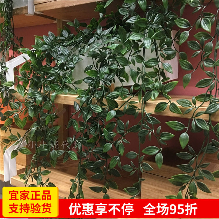 宜家植物价格 宜家植物图片 星期三
