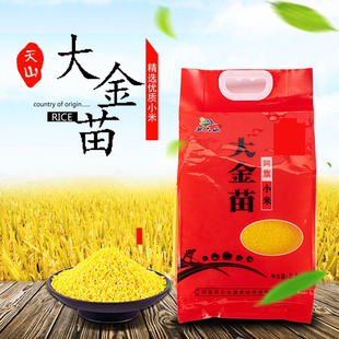 内蒙赤峰大金苗小米北大山小米杂粮黄小米新米小黄米粥米5斤包邮