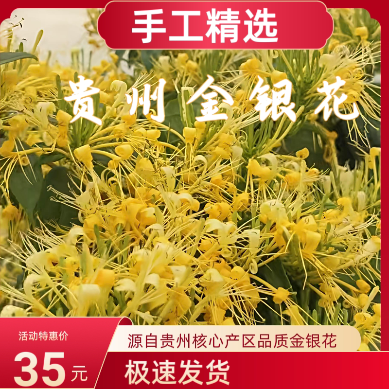 金银花散装正品贵州深山特级老树金银花