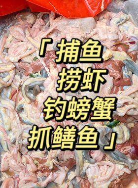 捕鱼新鲜鸡肠子带便未通钓鱼抓龙虾螃蟹天然诱饵虾笼钓鱼浓腥