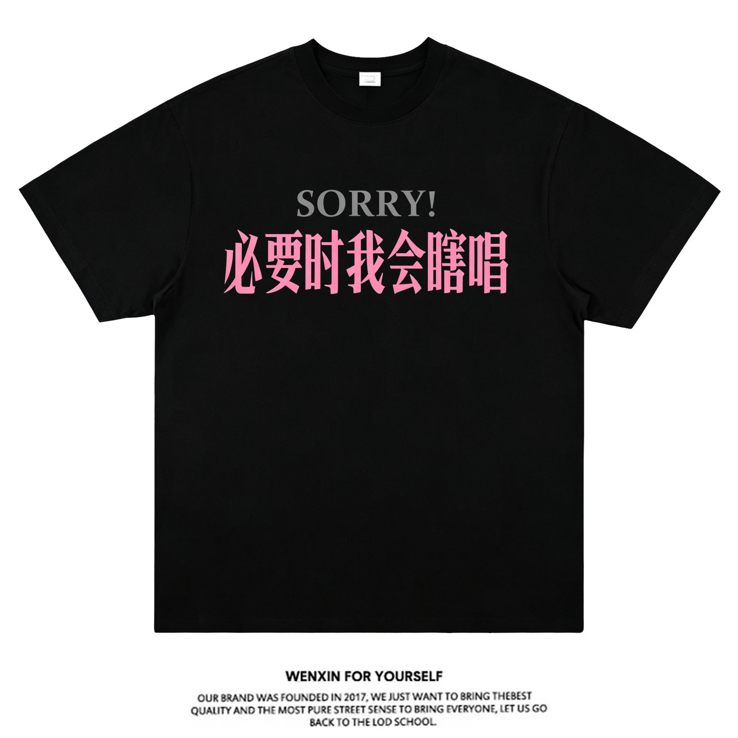 【sorry必要时我会瞎唱】T恤