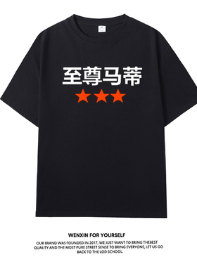 甜茶至尊马蒂电影同款周边短袖T恤夏纯棉Timothée Chalamet衣服