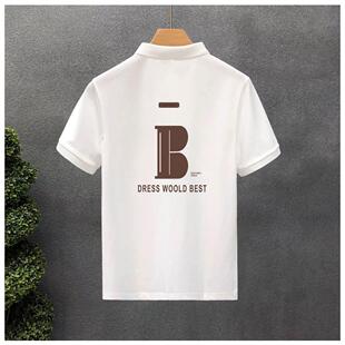 潮牌翻领t恤2025夏季 男短袖 新款 男士 流行修身 高端痞帅半袖 polo衫