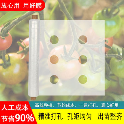 【支持定制打孔】白色地膜保温保湿打孔地膜农用薄膜免手抠孔