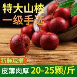 【中/大/特大4斤】山西绛县山楂现摘新鲜特大山楂果整箱特级山楂