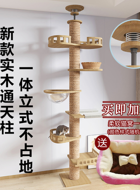 通天柱猫爬架猫窝猫树一体不占地太空舱大型猫别墅猫玩具实木跳台