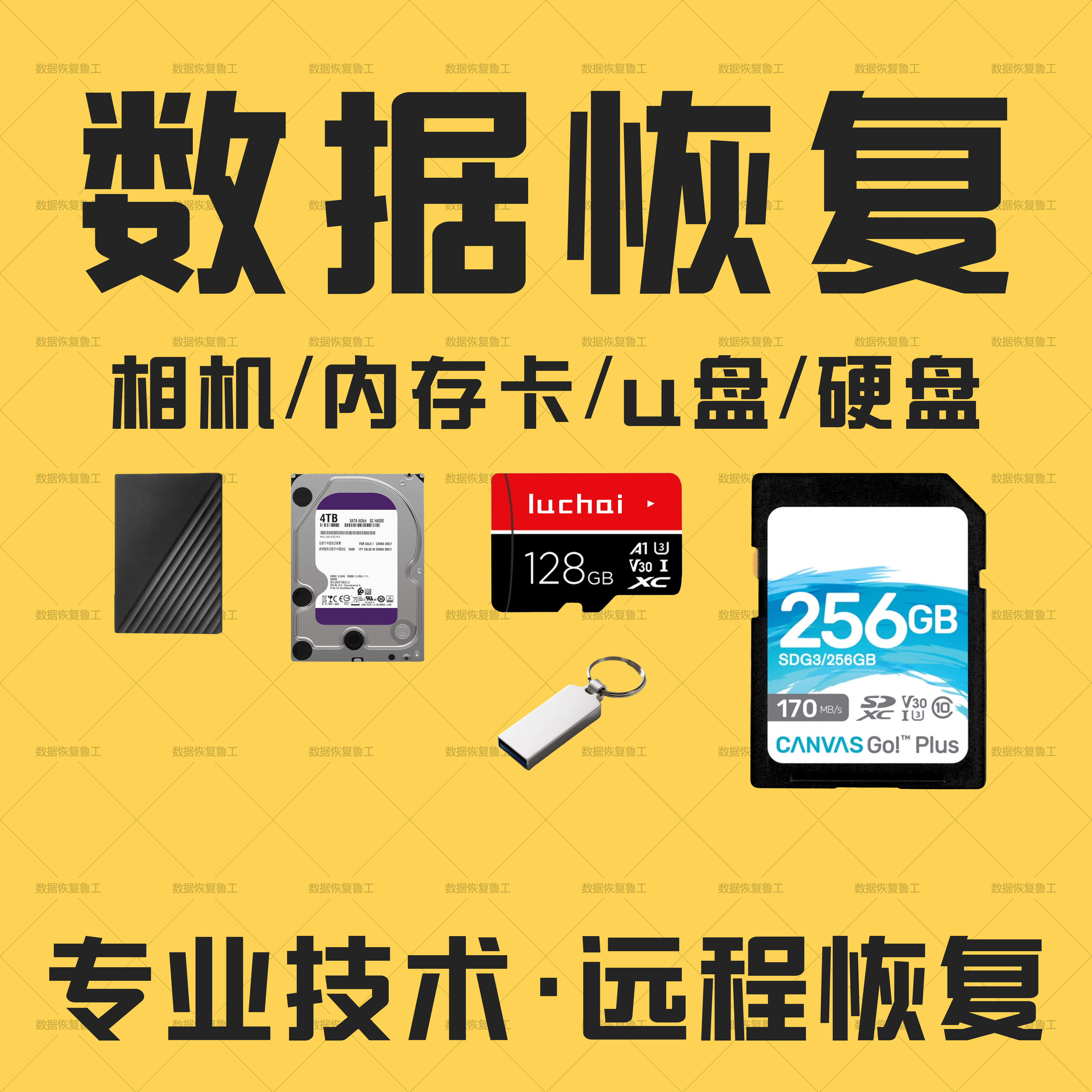 电脑数据恢复相机u盘硬盘内存卡sd卡照片视频文档误删格式化恢复