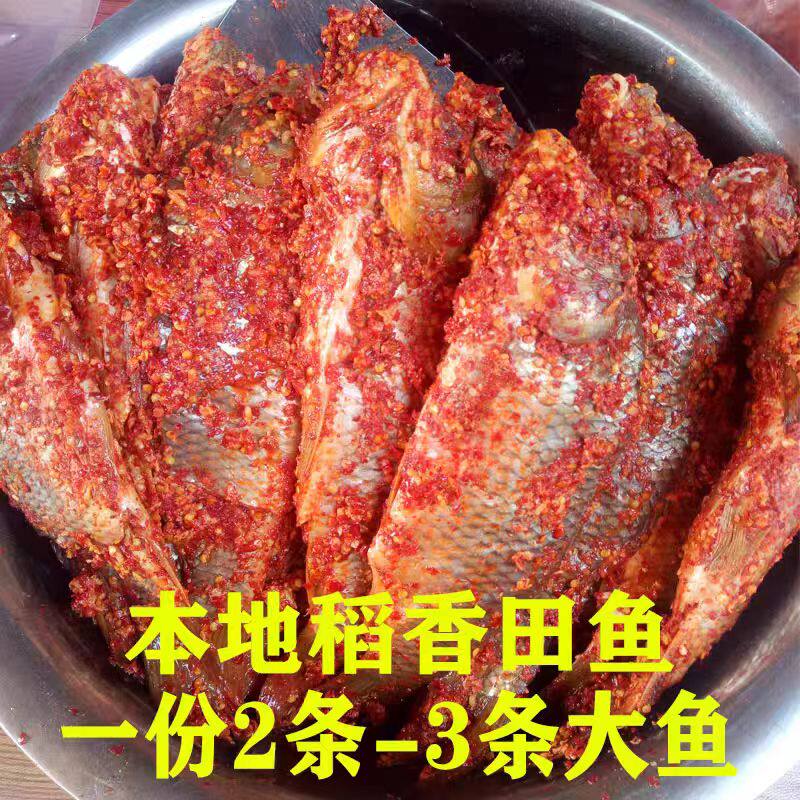 贵州黔东南特产腌鱼500g十八洞村黎平榕江侗族稻花暗鱼酸辣椒腌制