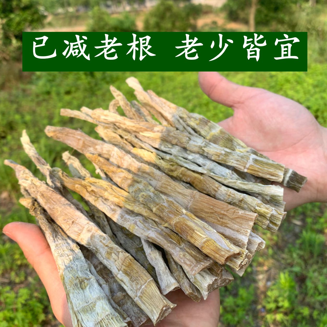 新货安吉临安天目山笋干500g农家自制嫩小竹笋野生干笋尖散装干货