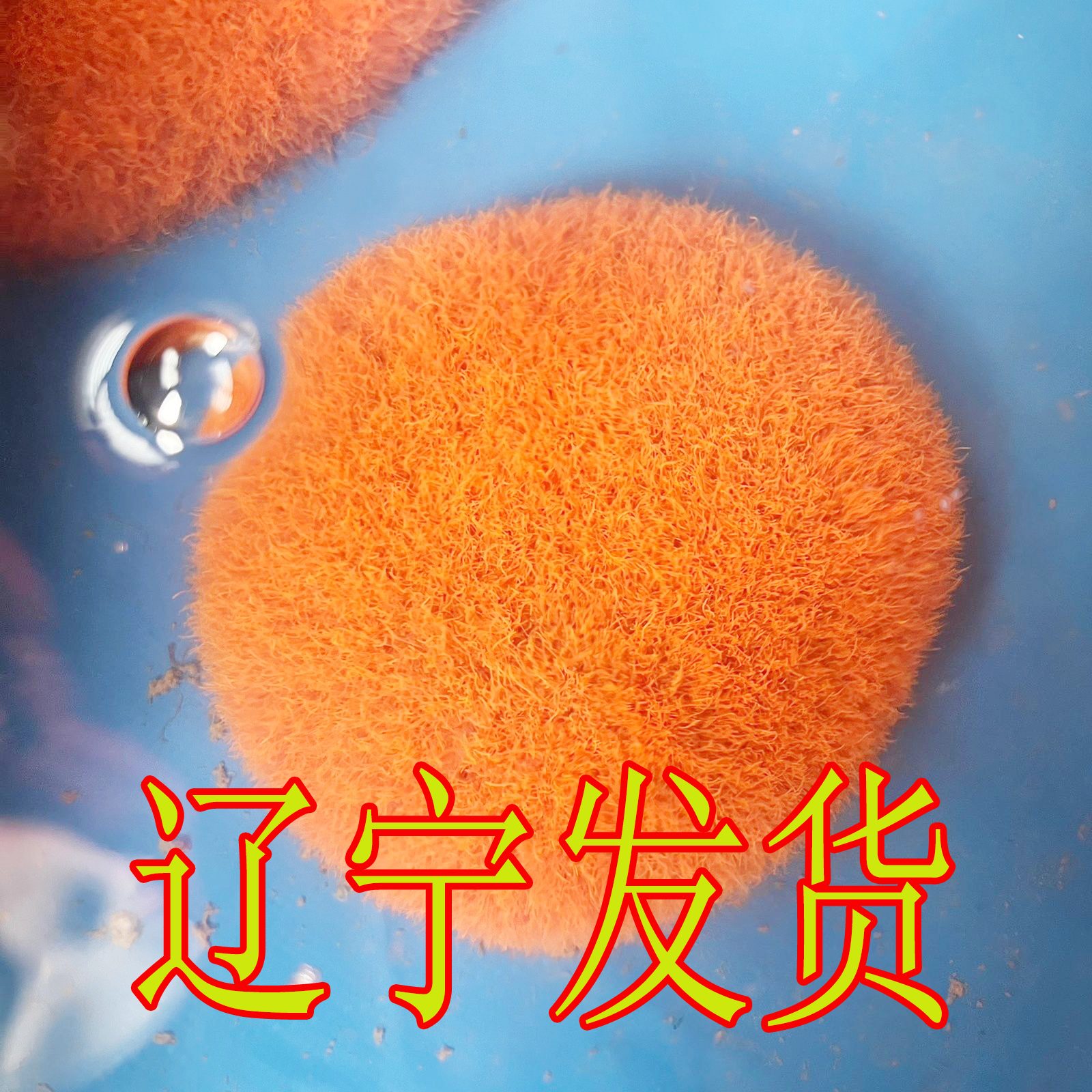 鲜活红线虫水蚯蚓红丝虫大小观赏鱼最爱营养高蛋白催苗包邮