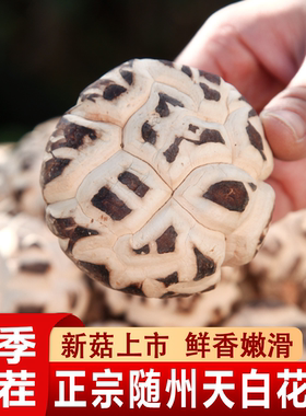 随州特产天白花菇冬菇香菇干货农家自种山蘑菇礼品食材大花菇