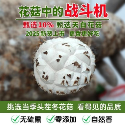 随州特产天白花菇冬菇香菇干货农家自种山蘑菇礼品食材大花菇